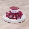 TRIXIE Jeu de strat&eacute;gie d'activit&eacute; et d'alimentation pour chats Rouge