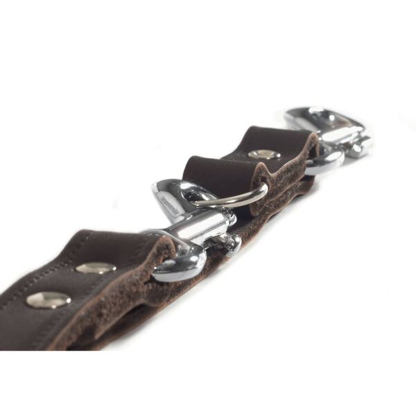 Beeztees Laisse de dressage Cuir Marron 200x1,8 cm 736402