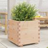vidaXL Jardini&egrave;re 50x50x49,5 cm bois de pin massif