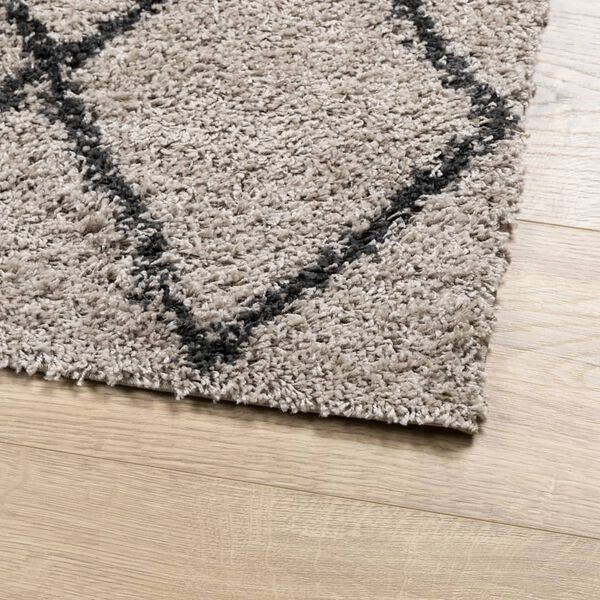 vidaXL Tapis shaggy &agrave; poils longs moderne beige anthracite 60x110 cm