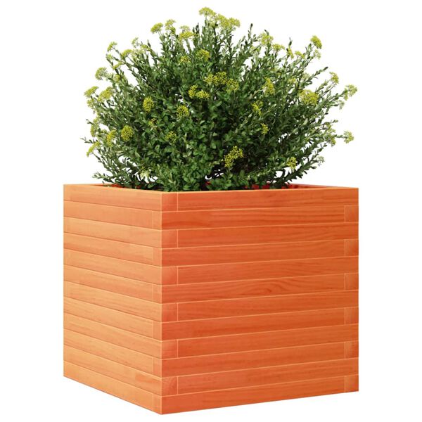 vidaXL Jardini&egrave;re cire marron 50x50x45,5 cm bois de pin massif