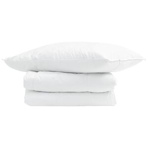 vidaXL Duvet d'&eacute;t&eacute; simple avec oreiller 2 pc Blanc Plume de canard