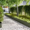 vidaXL Bordure de Pelouse 20 pcs Vert olive 100 x 0.05 x 20 cm