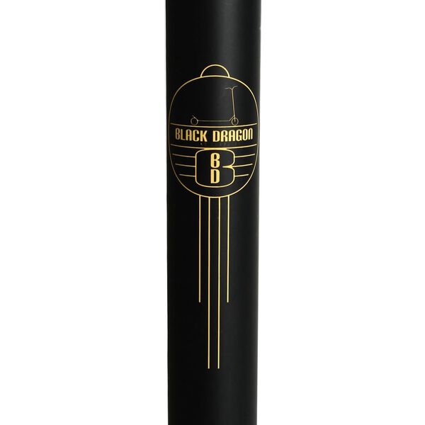 Black Dragon Scooter Vert Racer Noir et bronze