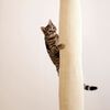 Kerbl Sac d'escalade pour chat 240 cm Beige