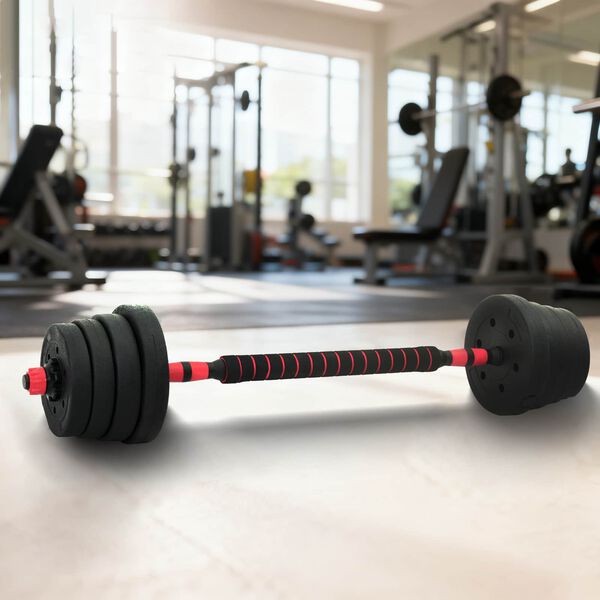 vidaXL Ensemble Halt&egrave;re-Barre 2-en-1 30kg Noir et Rouge