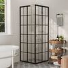 vidaXL Cabine de douche ESG 80x80x180 cm