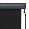vidaXL Store roulant d'ext&eacute;rieur 60 x 250 cm Anthracite