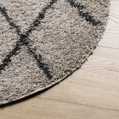 vidaXL Tapis shaggy à poils longs moderne beige et anthracite Ø 200 cm