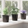 vidaXL Pot &agrave; fleurs 200 pcs Noir &Oslash; 15 x 13 cm Plastique