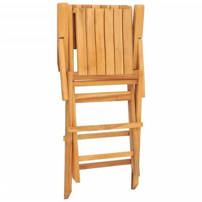 vidaXL Chaises de jardin pliantes lot de 2 55x61x90cm bois massif teck