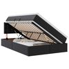 vidaXL Lit avec rangement et LED Noir 120 x 190 cm Cuir synth&eacute;tique