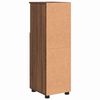 vidaXL Cabinet de salle de bain avec porte Ch&ecirc;ne brun 30 x 35 x 95 cm