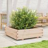 vidaXL Jardini&egrave;re 80x80x26,5 cm bois de pin massif