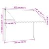 vidaXL Auvent r&eacute;tractable anthracite 250x150 m tissu et acier
