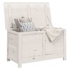 vidaXL Bo&icirc;te &agrave; coussins d'ext&eacute;rieur Blanc 100x50x56 cm Sapin massif
