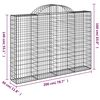 vidaXL Paniers &agrave; gabions arqu&eacute;s 20 pcs 200x30x140/160 cm Fer galvanis&eacute;