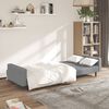 vidaXL Canap&eacute;-lit &agrave; 2 places gris clair velours