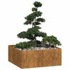 vidaXL Jardini&egrave;re rouill&eacute; 100x100x40 cm acier inoxydable