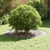 vidaXL adapt&eacute; pour anneau d'arbre plat Argent &Oslash;90 / 120 cm