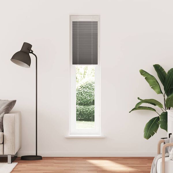 vidaXL Store pliss&eacute; anthracite 40x200 cm largeur du tissu 39,4 cm