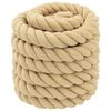 vidaXL Corde de bateau 10 m 3 Naturel PP