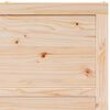 vidaXL Porte de Grange Naturel 80 x 208 cm Bois de pin massif
