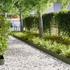 vidaXL Bordure de Pelouse 20 pcs Vert olive 100 x 0.05 x 20 cm