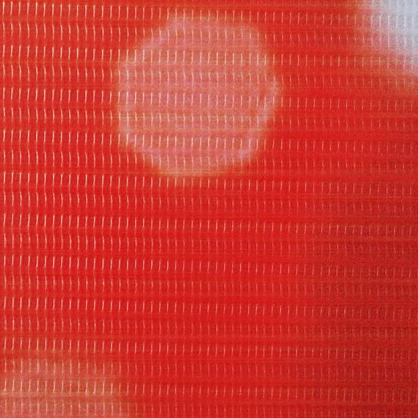 vidaXL Cloison de s&eacute;paration pliable 160 x 170 cm Rose rouge