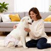 vidaXL Couche jetable pour chienne 50 pcs Blanc XL