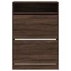 vidaXL Armoire &agrave; chaussures 2 tiroirs rabattables ch&ecirc;ne marron