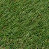 vidaXL Gazon artificiel 1 x 5 m / 20-25 mm Vert