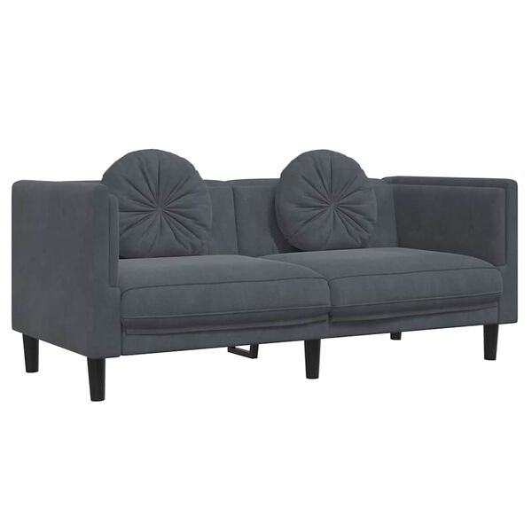 vidaXL Canap&eacute; avec coussins 2 places gris fonc&eacute; velours