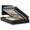 vidaXL Lit avec rangement et LED Noir 120 x 190 cm Simili cuir