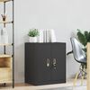 vidaXL Armoire de rangement Noir 60 x 40 x 70 cm Acier