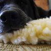 HuggleHounds Tapis pour chiens Polaire XL Blanc laine