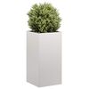vidaXL Jardini&egrave;re 40x40x80 cm acier inoxydable