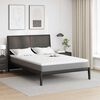 vidaXL Surmatelas en Coco Blanc 140 x 200 x 5 cm Tissu Jacquard