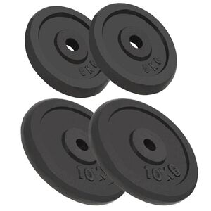 vidaXL Plaque de poids 4 pcs 2 x 10 kg + 2 x 5 kg Fonte