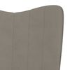 vidaXL Chaise de relaxation Gris clair Velours