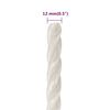vidaXL Corde de travail Blanc 12 mm 50 m polypropyl&egrave;ne