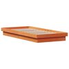 vidaXL Cadre de lit &agrave; LED sans matelas 90x200 cm bois massif
