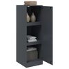 vidaXL Buffet anthracite 34,5x39x107 cm acier