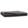 vidaXL Couverture Pond&eacute;r&eacute;e Anthracite 122 x 183 cm 5 kg