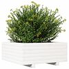 vidaXL Jardini&egrave;re blanc 60x60x26,5 cm bois de pin massif