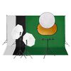 vidaXL Kit de studio photo avec &eacute;clairage toile de fond et r&eacute;flecteur