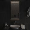 vidaXL Miroir de salle de bain &agrave; LED 40x80 cm