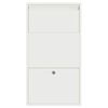 vidaXL Bo&icirc;te de d&eacute;p&ocirc;t de colis avec porte Blanc 44 x 22 x 82 cm Acier