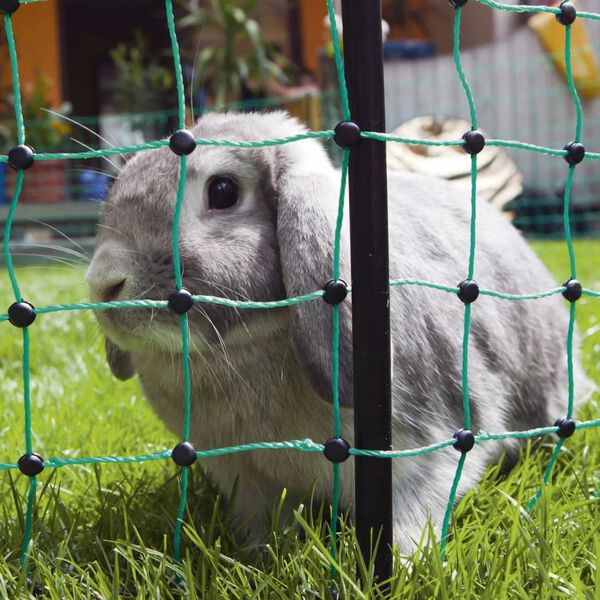 Kerbl Filet &eacute;lectrifi&eacute; de cl&ocirc;ture pour lapins 65 cm 292209