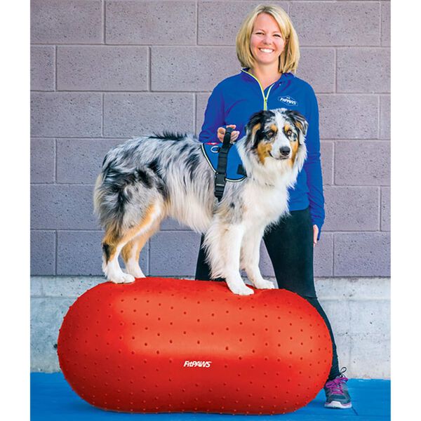 FitPAWS Plate-forme d'&eacute;quilibre pour animaux de compagnie 50 cm Rouge